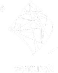 VentureX Logo